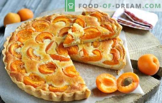 Vienkāršs aprikožu pīrāgs - ikviens to var apstrādāt! Vasaras aprikožu pīrāgi: vienkāršas receptes ikvienam