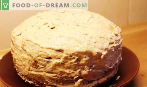 Tort de miere - cele mai bune rețete. Cum să gătești în mod corespunzător și delicios un tort de miere.