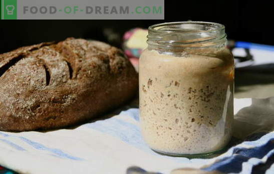 Pâine prăjită - secretul principal al produselor de patiserie delicioase rustice. Rețete testate în timp și noi pentru pâinea prăjită