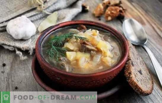 Răsfățați-vă locuința cu o supă delicioasă de varză proaspătă cu ciuperci. Retete de supa de varza parfumata cu ciuperci