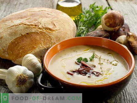 Supa de ciuperci - cele mai bune retete. Cum să gătești supa de ciuperci în mod corespunzător și gustos.