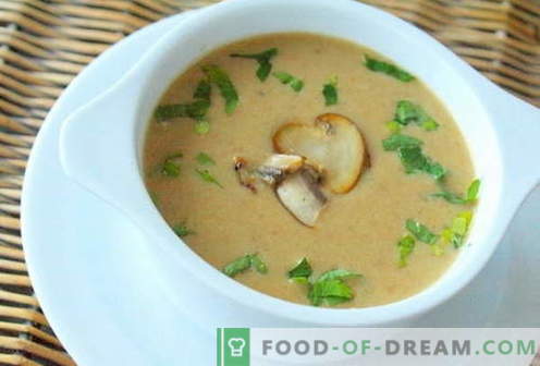 Supa de ciuperci - cele mai bune retete. Cum să gătești supa de ciuperci în mod corespunzător și gustos.