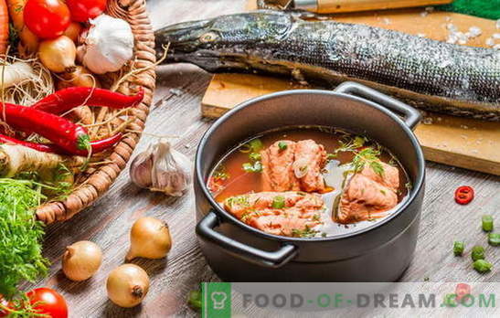Supa de gătit este o problemă delicată! Cum să gătești supă de pește din râu sau pește roșu, cu orz, mei, conserve, creveți, roșii