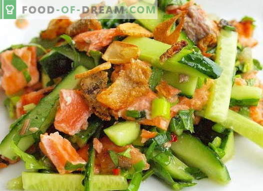Salată cu somon și castraveți - rețetele potrivite. Salată de gătit rapidă și gustoasă cu somon și castraveți.