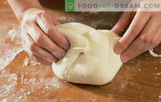 Aluat pizza pe apă: cum să gătești și să coaceți cel mai simplu flatbread italian. Retete pentru aluat pizza pe apa
