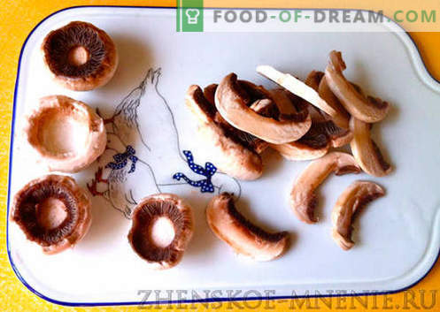 Supă de ciuperci - rețetă cu fotografii și descriere pas cu pas