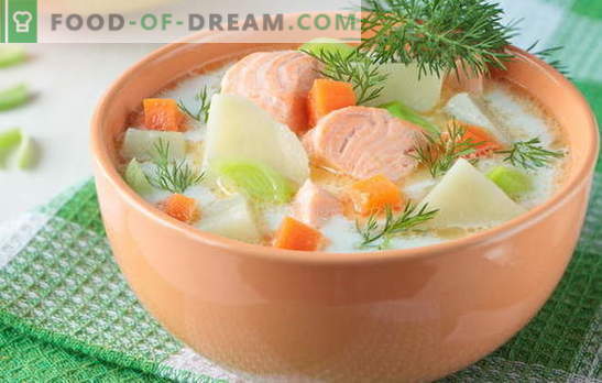 Supă de pește roșu - ca și adulții și copiii. Rețete pas cu pas pentru supe delicioase de pește roșu: somon, somon, somon roz