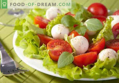 Salată cu roșii și brânză - rețete culinare dovedite. Cum să gătești o salată cu roșii și brânză.