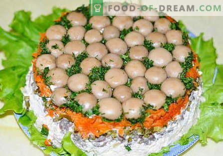 Salata de pește de ciuperci - cele mai bune rețete. Cum să gătești în mod corespunzător și gustos bucătăria de salată.