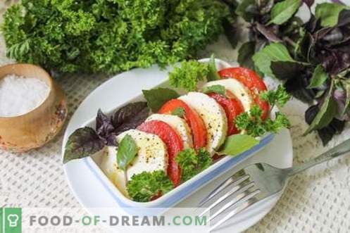 Gustări instant de tomate în 15 minute - frumusețea, gustul și beneficiile legumelor de vară