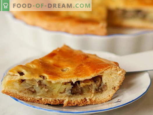Ciuperci Pie - cele mai bune retete. Cum să gătesc în mod corespunzător și delicios o plăcintă cu ciuperci.