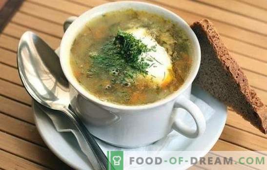 Supă de varză: 10 dintre cele mai bune rețete dovedite. Trucuri de supă de varză de gătit din carne de vită: cu carne și cereale