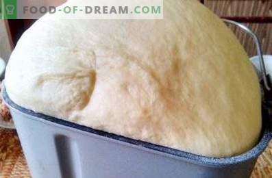 Aluatul pentru albi în filtrul de paine